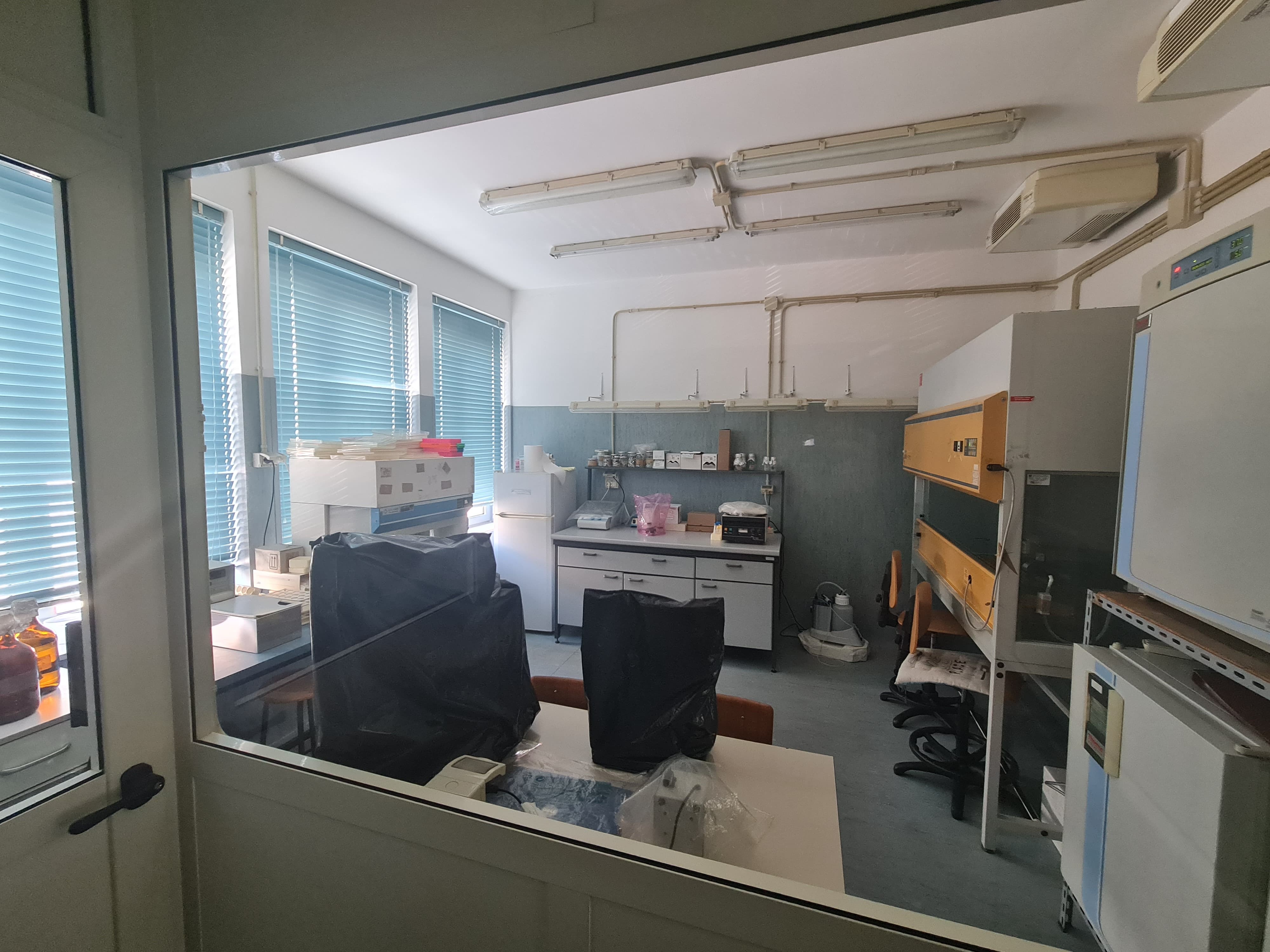 oncologia sperimentale