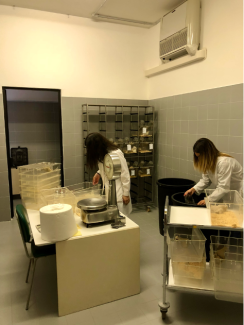 Locali di Stabulazione